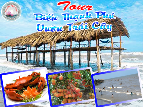 TOUR BIỂN THẠNH PHÚ