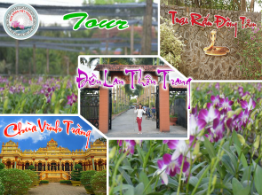 TOUR TRẠI RẮN - ĐIỀN LAN - VĨNH TRÀNG