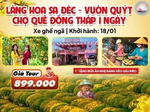 LÀNG HOA SA ĐÉC - VƯỜN QUÝT HỒNG - CHỢ QUÊ