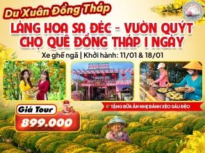 LÀNG HOA SA ĐÉC - VƯỜN QUÝT - CHỢ QUÊ