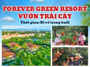 FOREVER GREEN RESORT - VƯỜN TRÁI CÂY