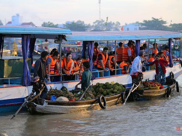 VỀ MIỀN TÂY ĐÔ