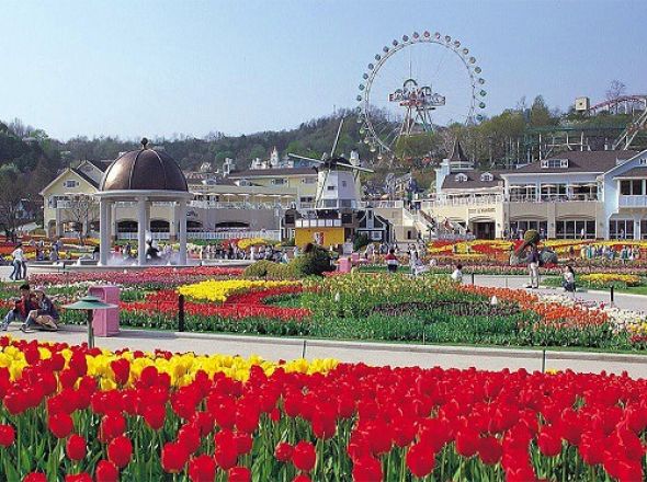 SEOUL - ĐẢO NAMI - EVERLAND