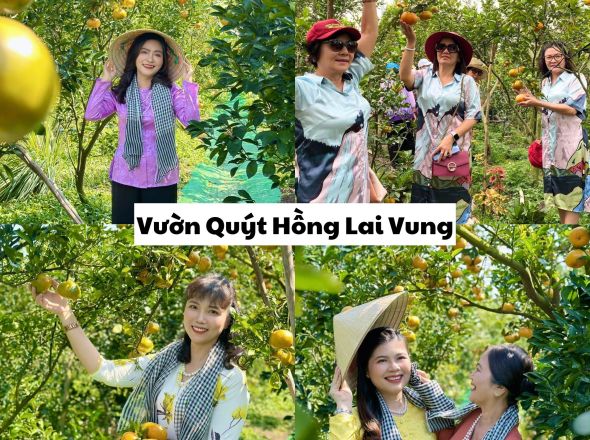 LÀNG HOA SA ĐÉC - VƯỜN QUÝT - CHỢ QUÊ