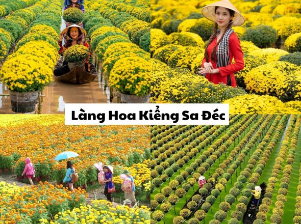 LÀNG HOA SA ĐÉC - VƯỜN QUÝT - CHỢ QUÊ